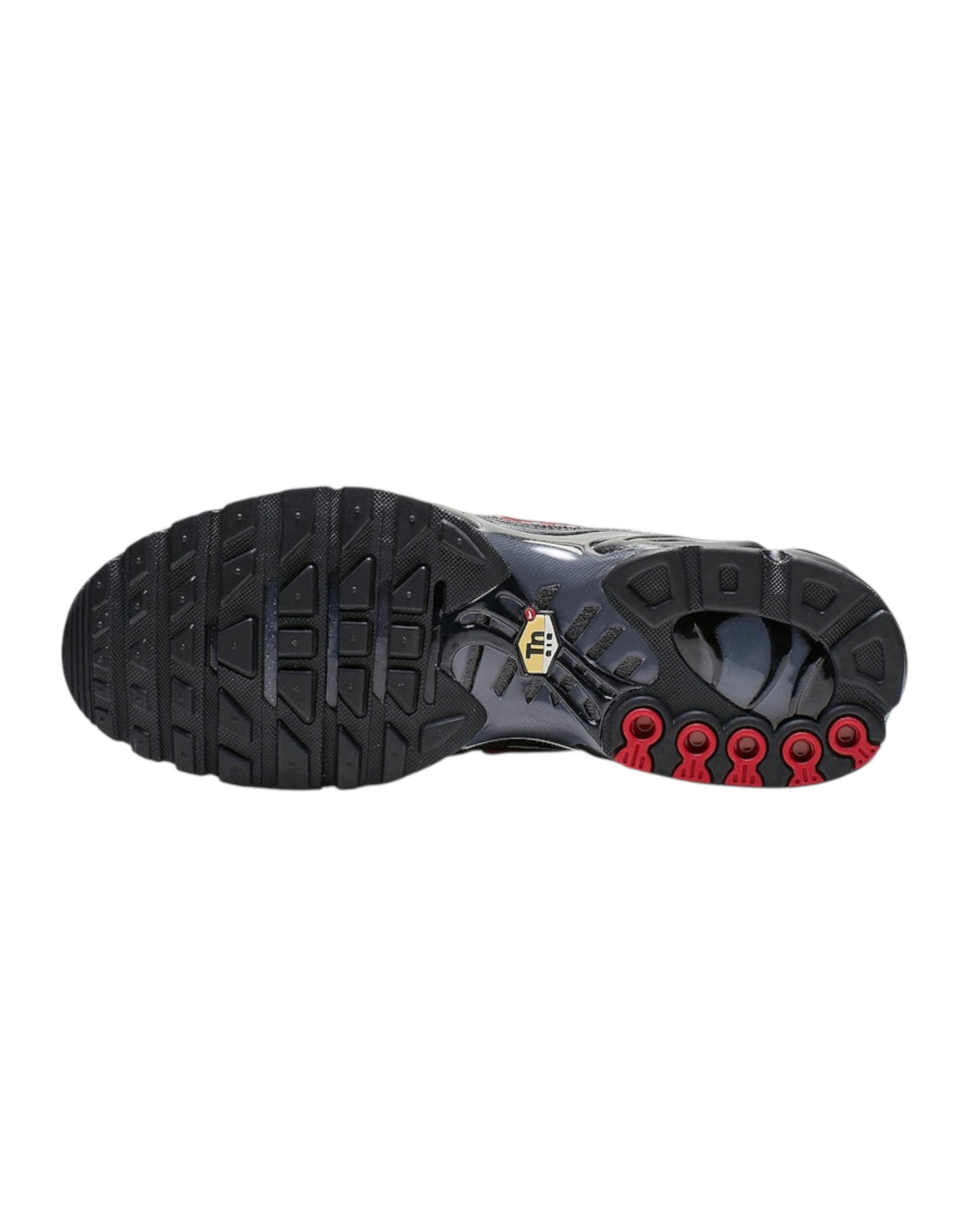 AIR MAX PLUS TN “ BLACK GRADIENT RED “