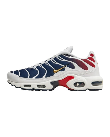 AIR MAX PLUS TN “ PARIS SAINT -  GERMAIN “