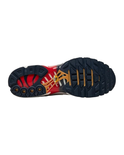 AIR MAX PLUS TN “ PARIS SAINT -  GERMAIN “