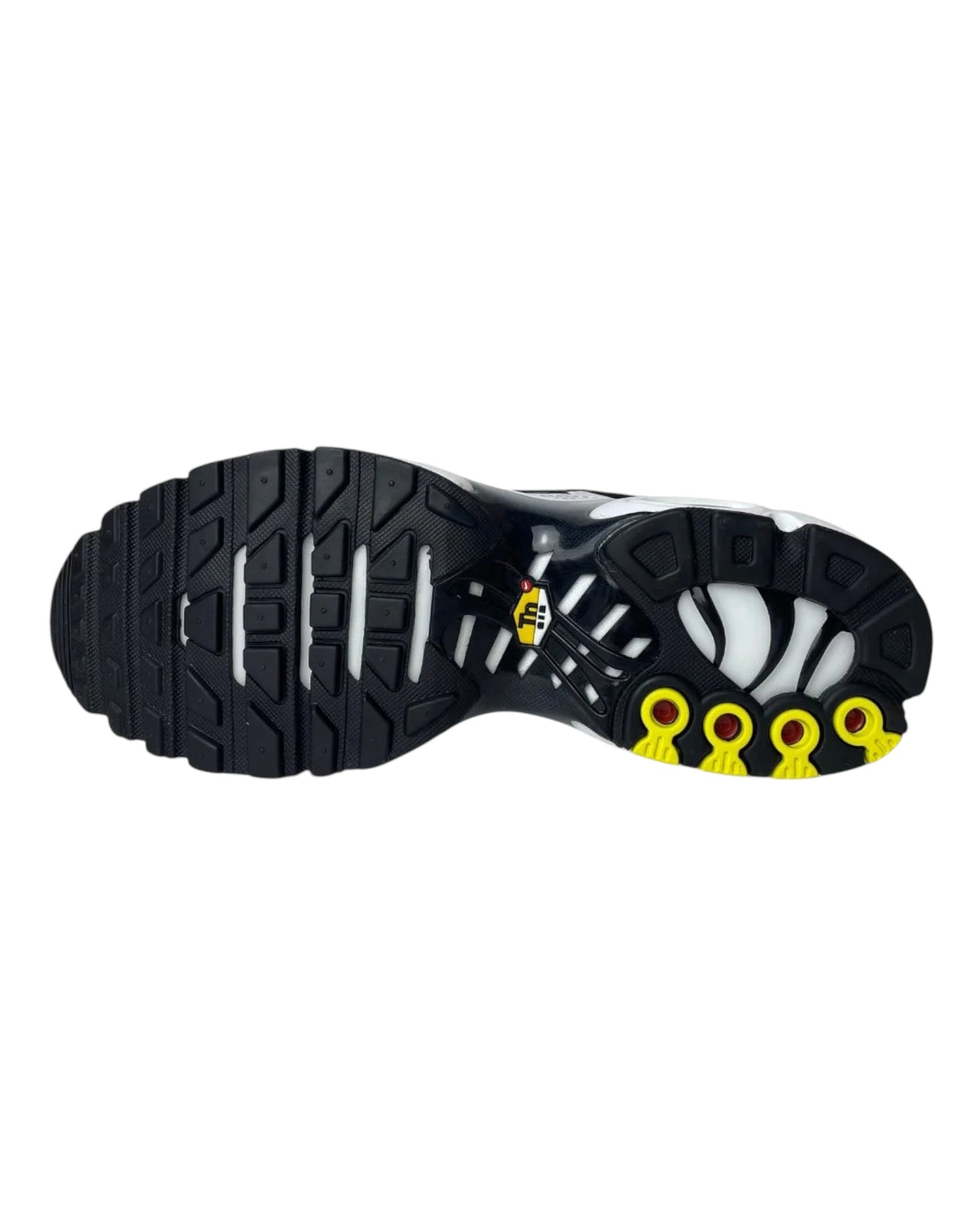 AIR MAX PLUS TN “ KILLER WHALE “